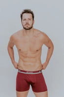 Kit 5 Cuecas Boxer Masculinas Microfibra Anatômica Confortável